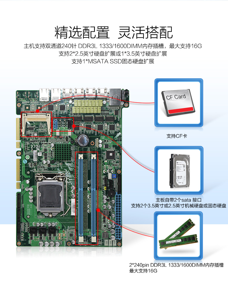 wt-12260-YH81-6.jpg